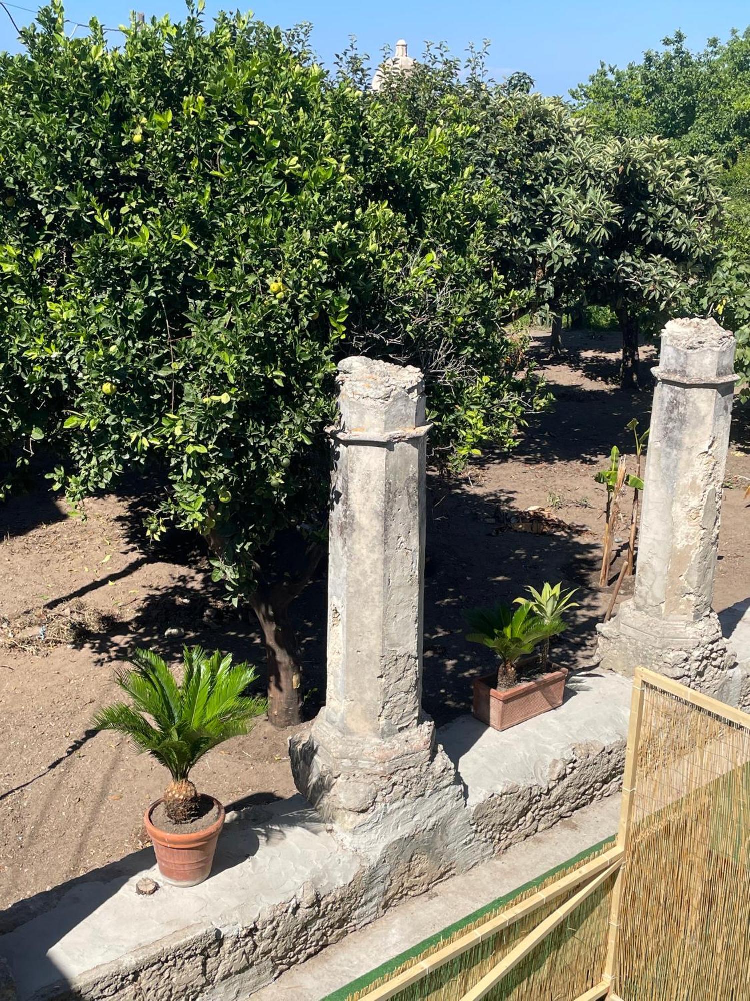 Tenuta La Torre Tropea Exterior photo